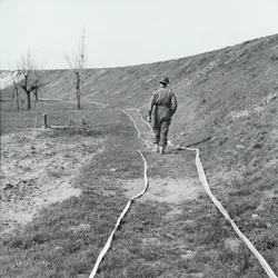 Weißes Band markiert klare Wege durch ein Minenfeld, am Fluss Senio, Italien, März 1945